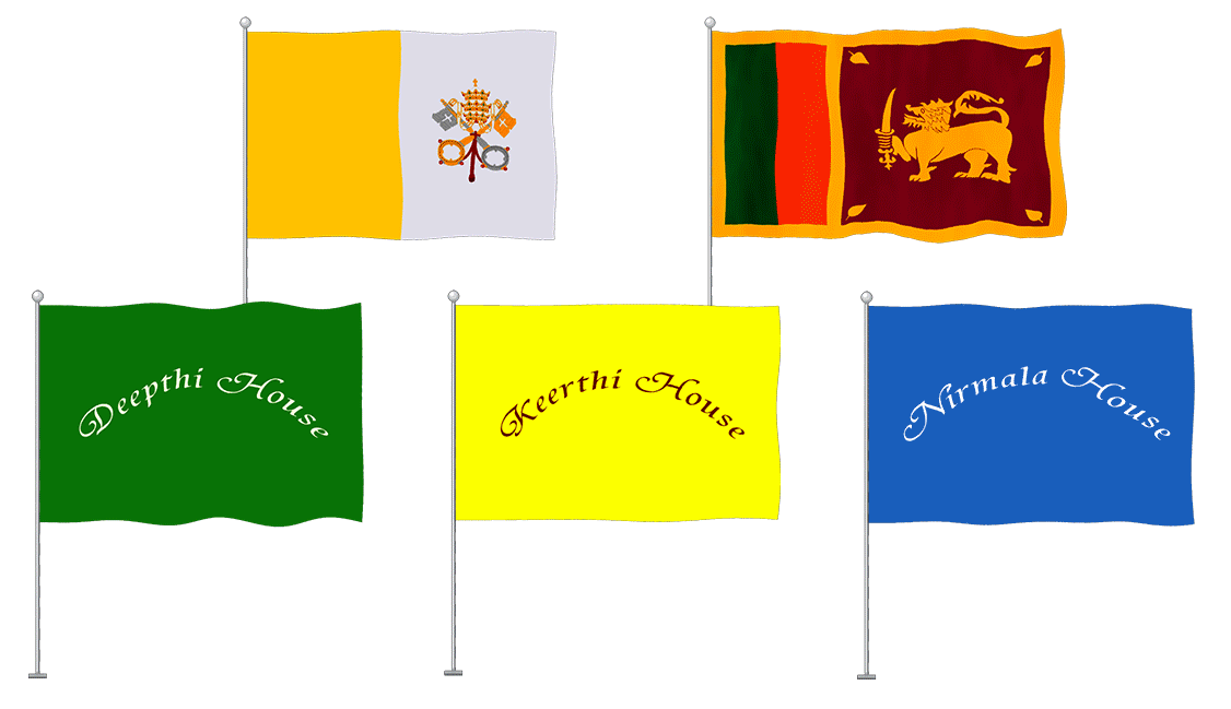 All Flags