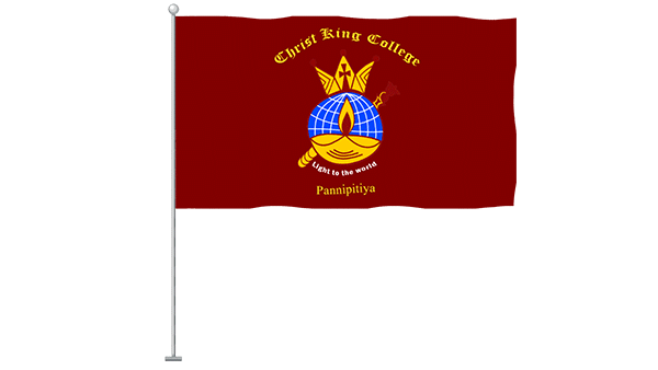 College Flag